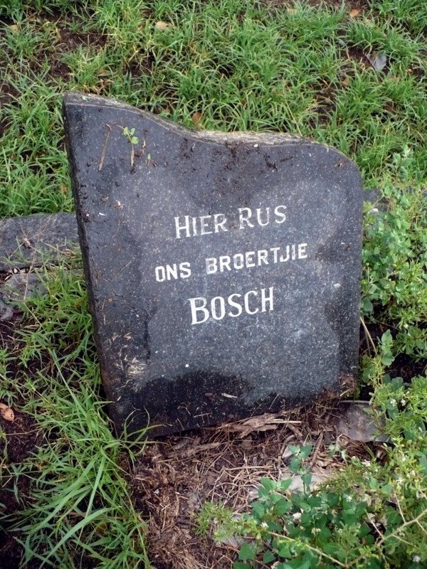 BOSCH Broertjie