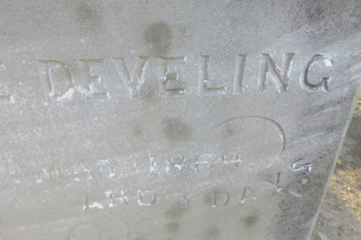 DEVELING Annie Gertrude -1869 :: DEVELING Andre N. -1869