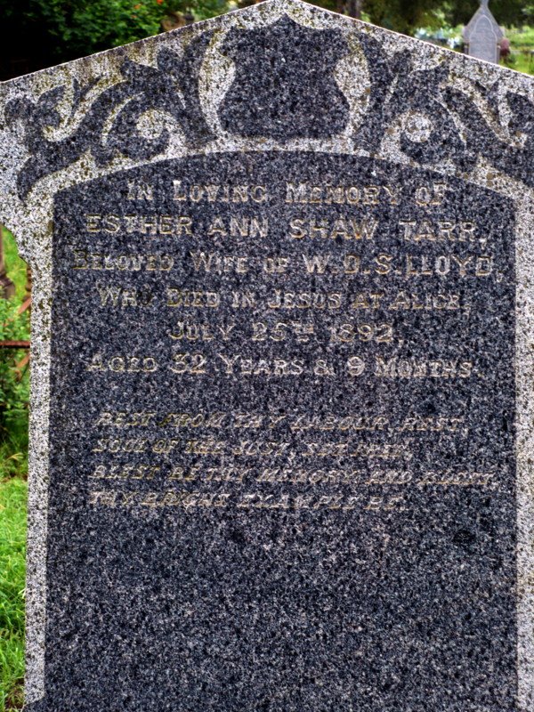 LLOYD Esther Ann Shaw nee TARR -1892