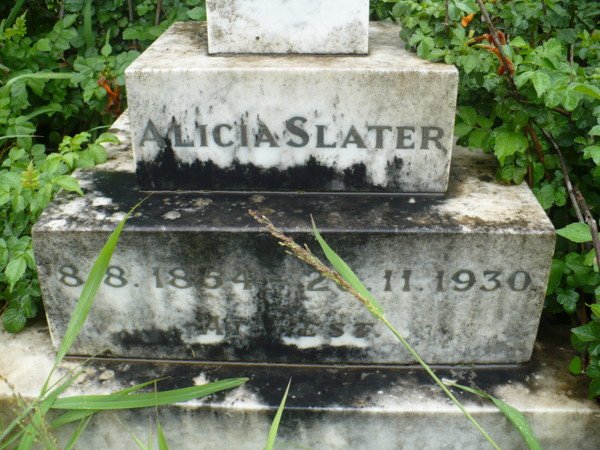 SLATER Alicia 1854-1930