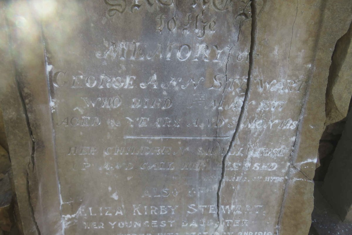 STEWART George Ann -1877 :: STEWART Eliza Kirby -1919