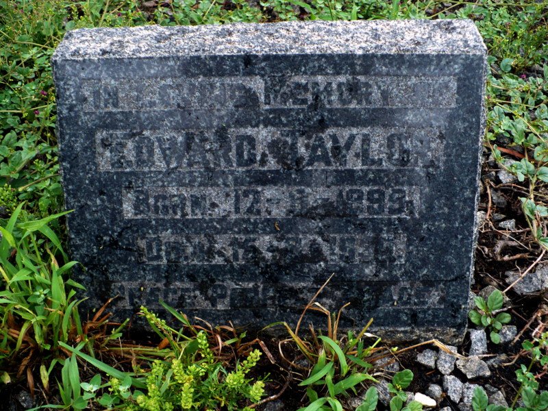 TAYLOR Edward 1899-1959