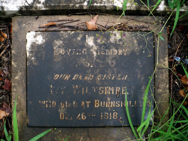 WILTSHIRE Ivy -1918