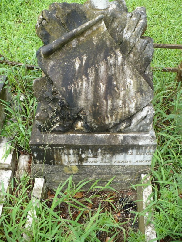 WILTSHIRE Sylvia May -1902