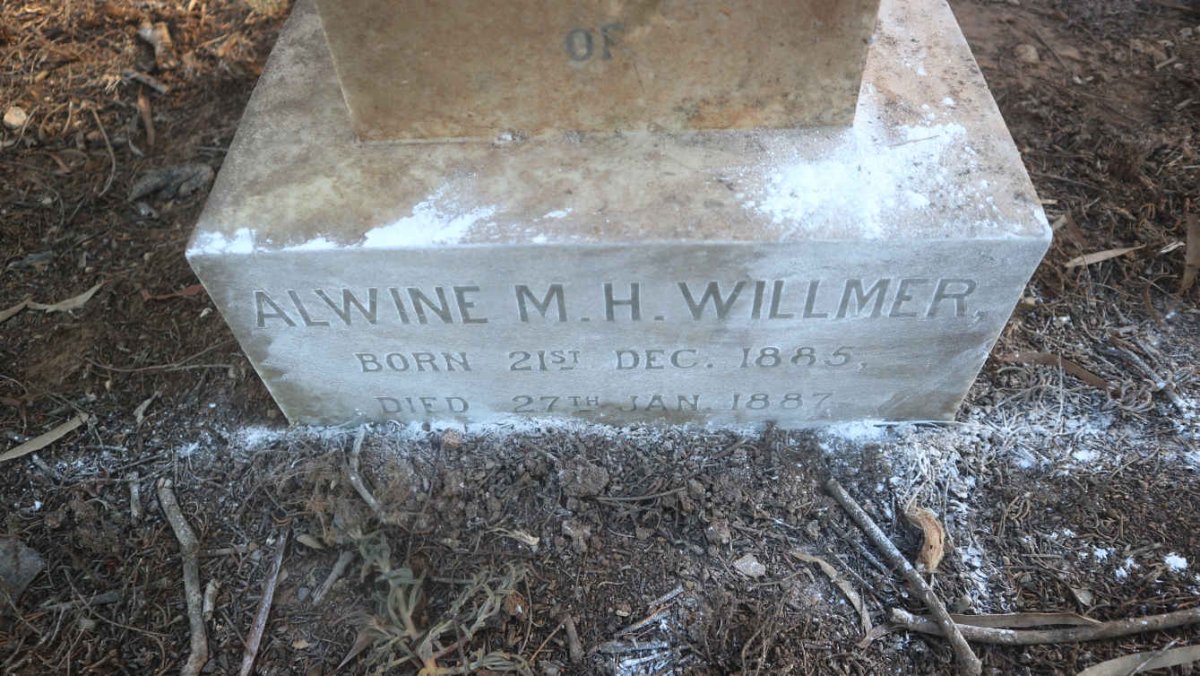 WILLMER Alwine M.H. 1885-1887