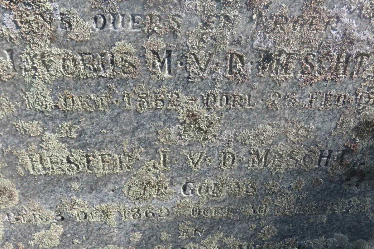 MESCHT Jacobus M., v.d. 1862-1944 &amp; Hester J. GOUWS 1869-1953 :: V.D. MESCHT Pieter C. 1913-1935