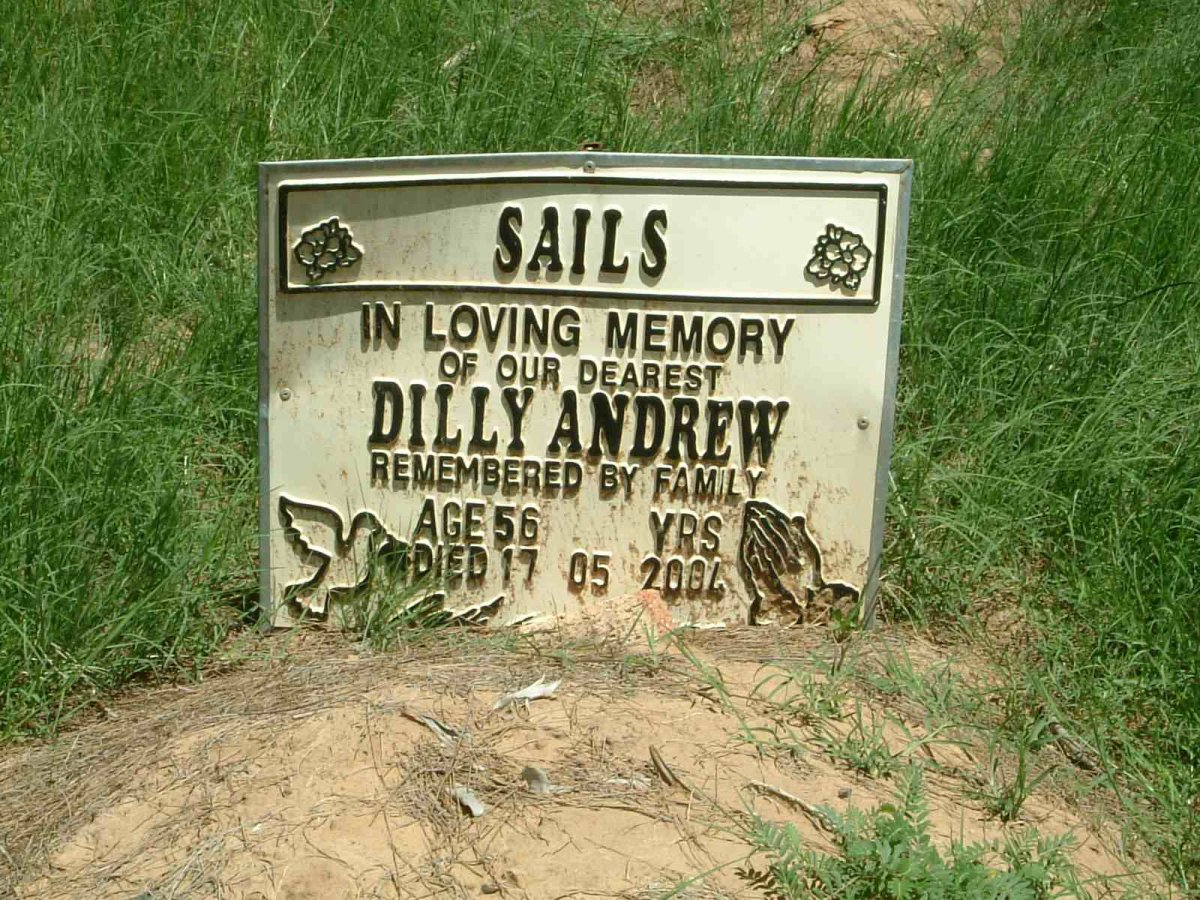 SAILS Dilly Andrew -2004