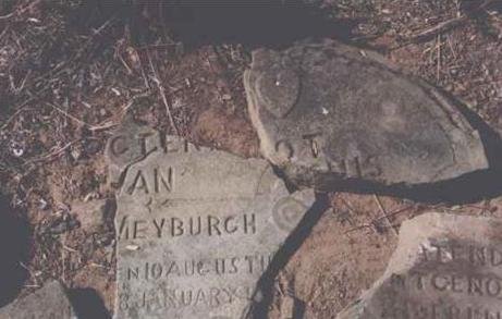 MEYBURGH