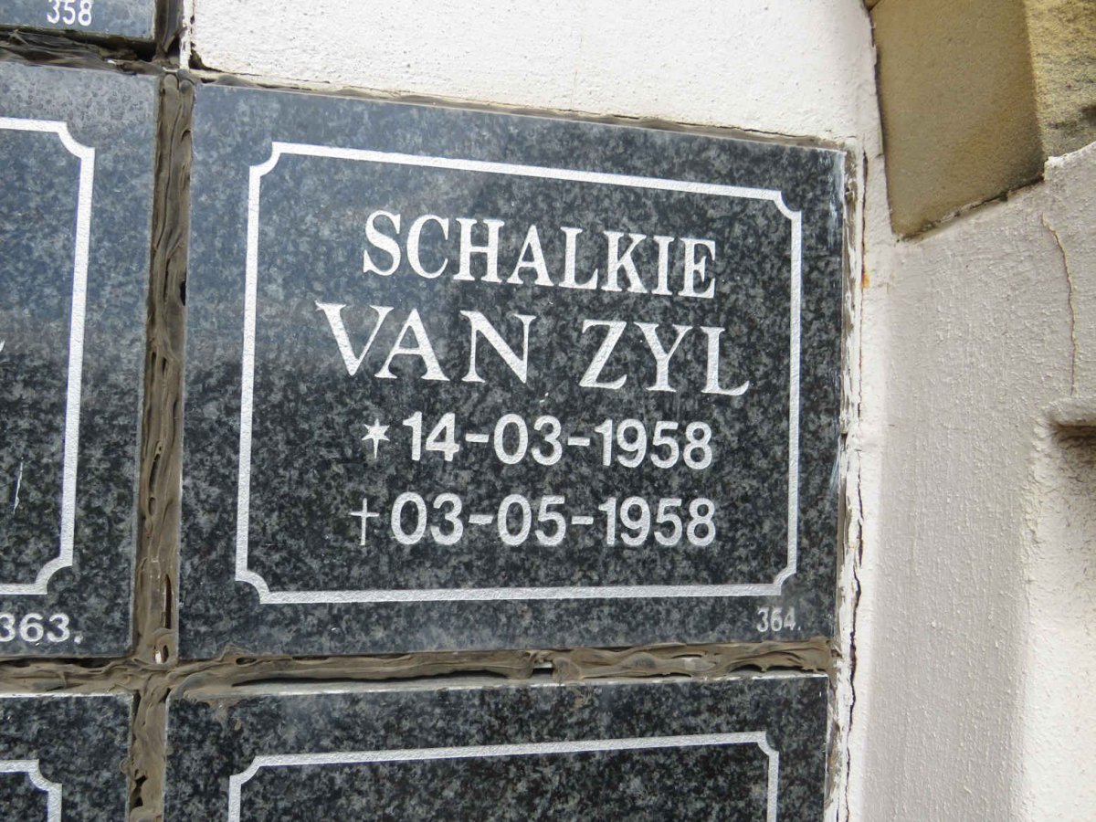 ZYL Schalkie, van 1958-1958