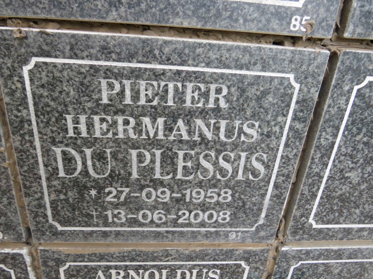 PLESSIS Pieter Hermanus, du 1958-2008