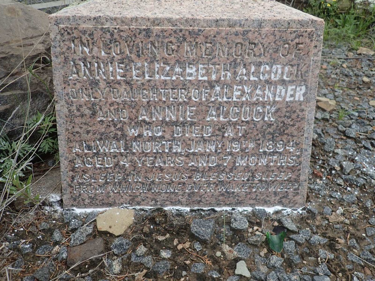 ALCOCK Annie Elizabeth -1894