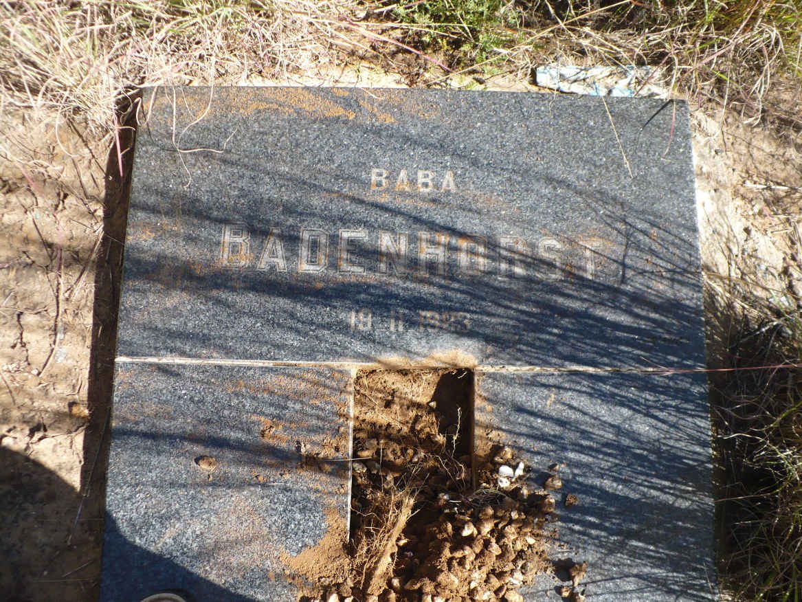 BADENHORST -1983
