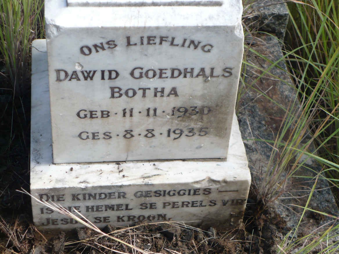 BOTHA Dawid Goedhals 1930-1935