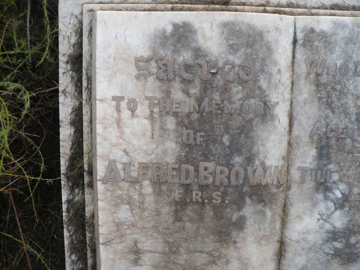 BROWN Alfred -1920