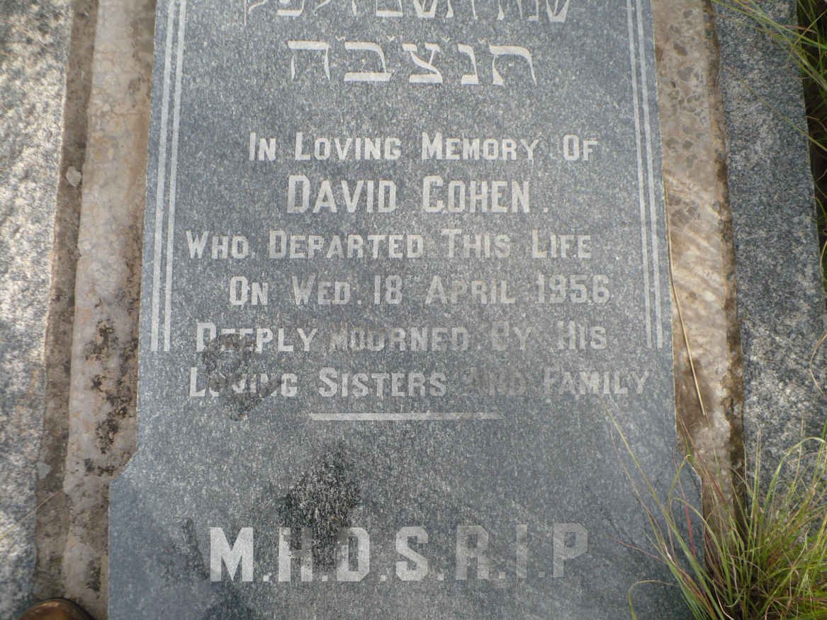 COHEN David -1956