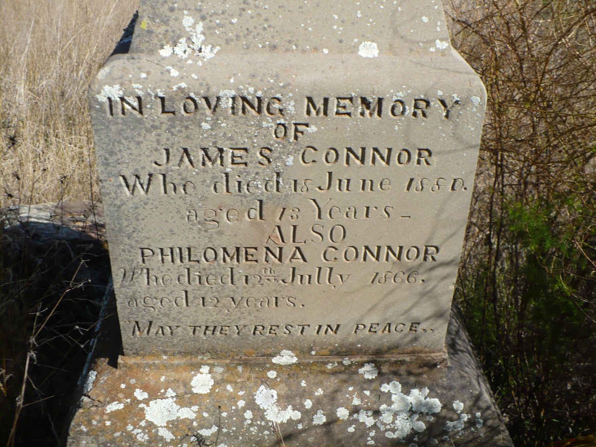 CONNOR James -1880 :: CONNOR Philomena -1866