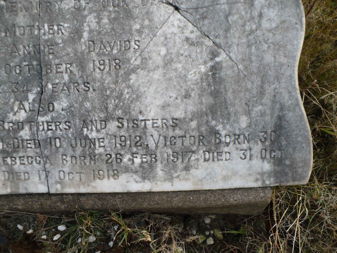 DAVIDS Stanley 1911-1912 :: DAVIDS Victor 1912-1912 :: DAVIDS Rebecca 1917-1917 :: DAVIDS Ellen 198-1918