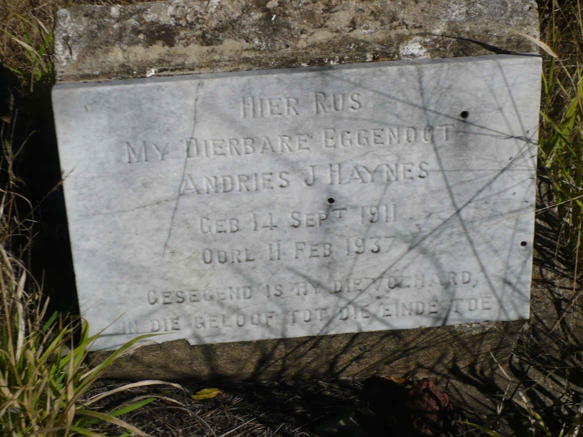 HAYNES Andries J. 1911-1937