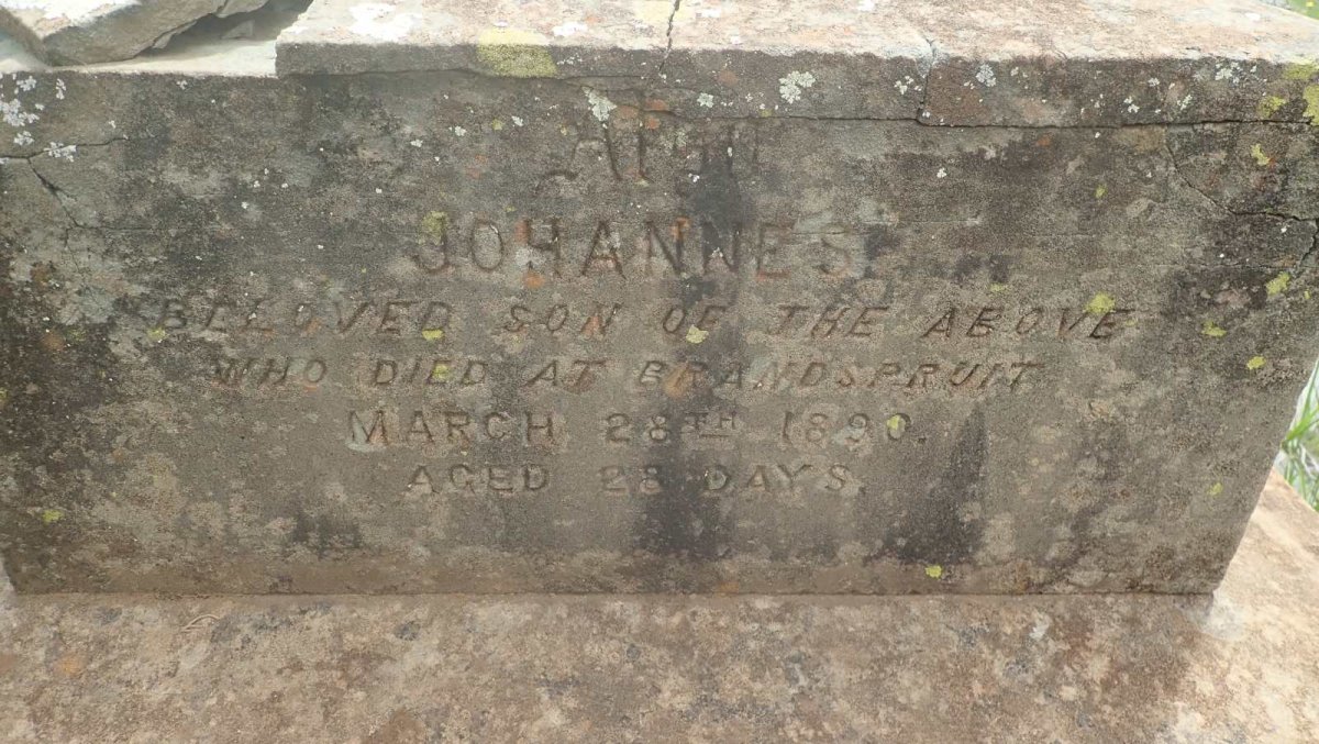 LOESCHER Johanne nee JOBMANN -1890 :: LOESCHER Johannes -1890