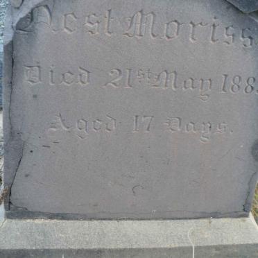 MORRISEN ?est -1885