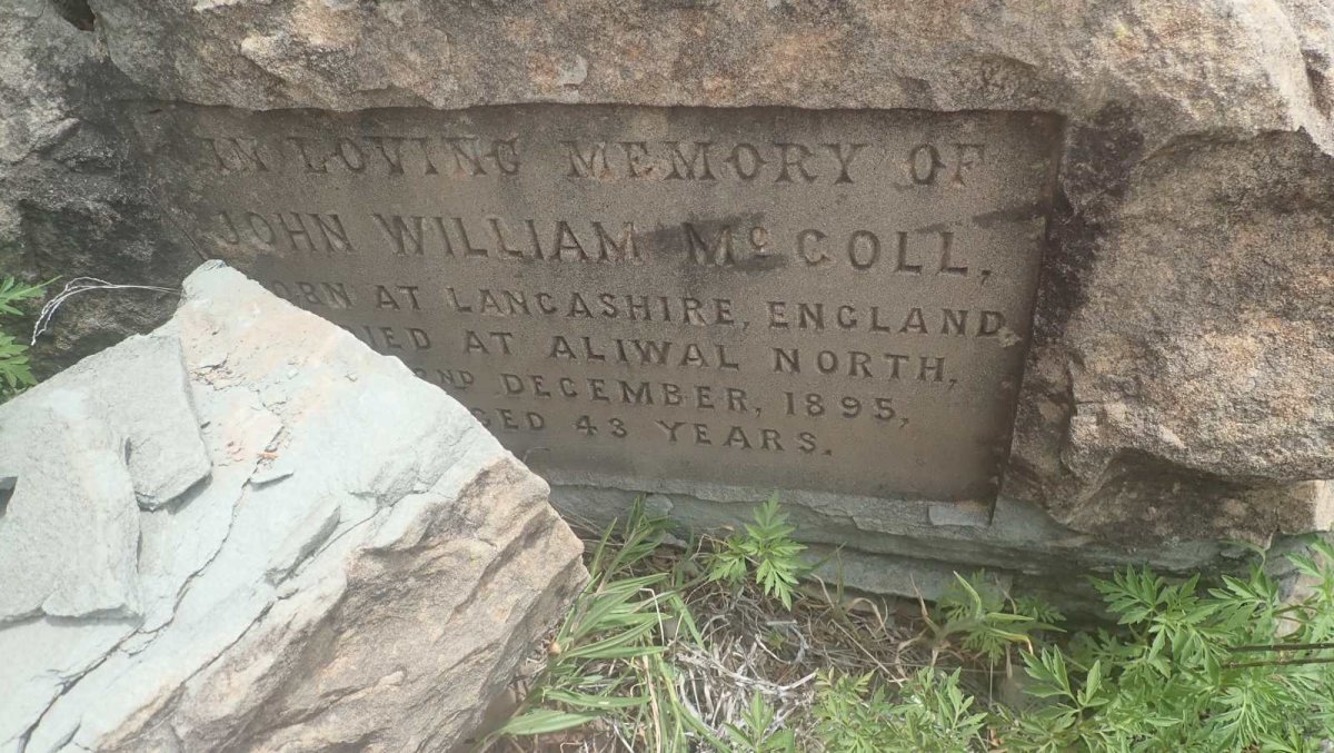 McCOLL John William -1895
