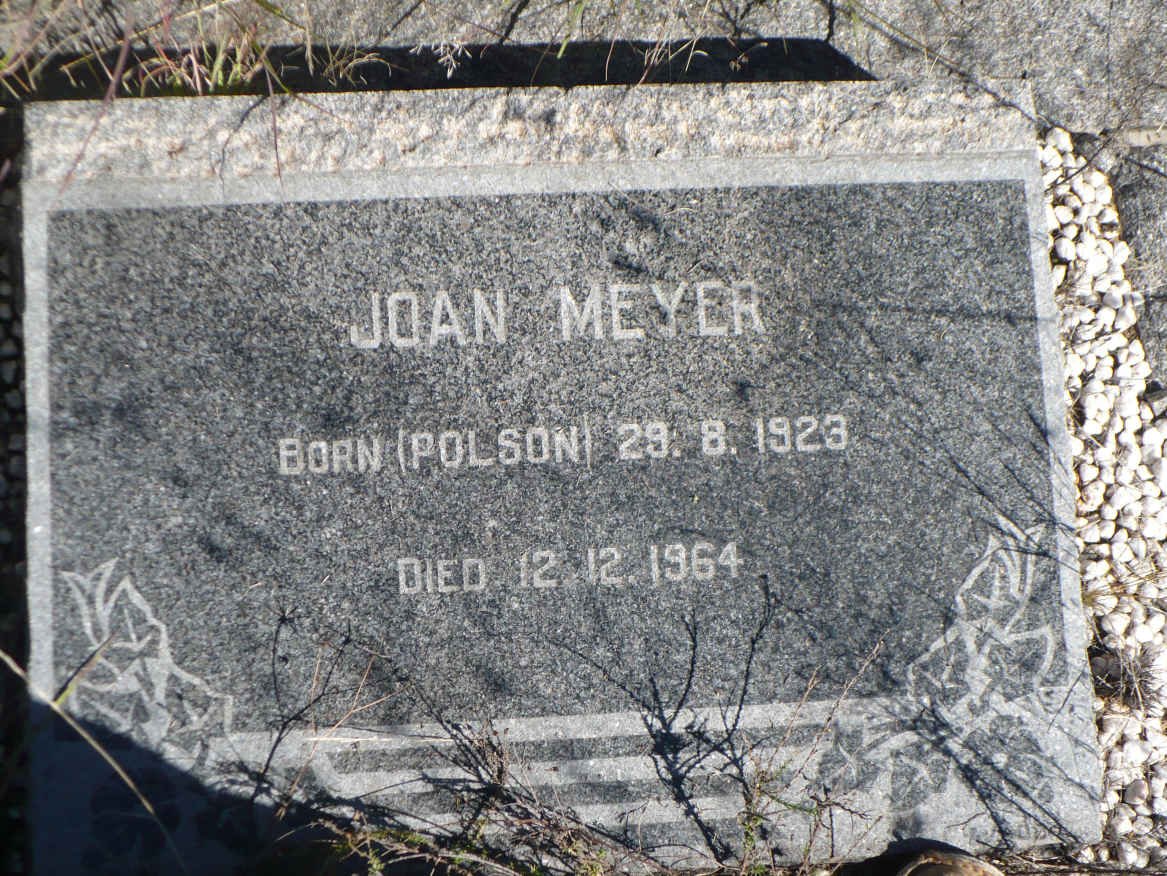 MEYER Joan nee POLSON 1923-1964