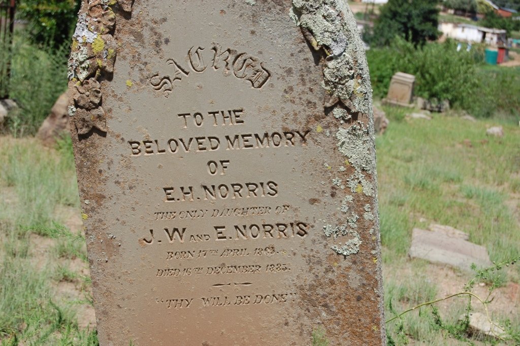 NORRIS E. H. 1883-1885
