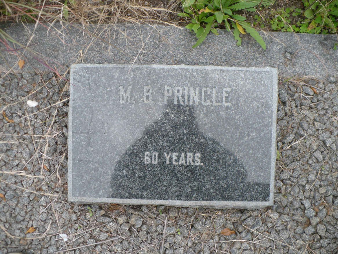 PRINGLE M.B.