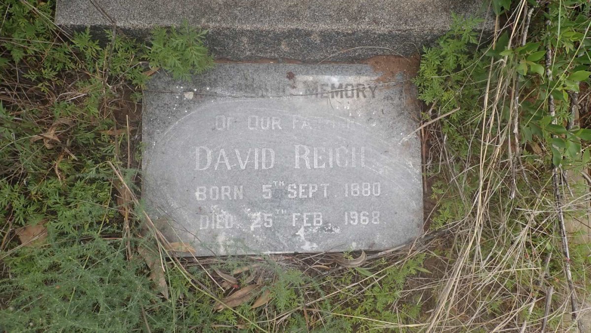 REICH David 1880-1968