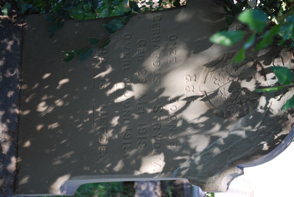 STRYDOM Gerhardus 1919-1919
