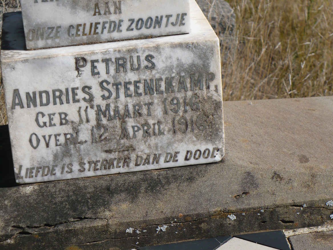 STEENEKAMP Petrus Andries 1916-1916