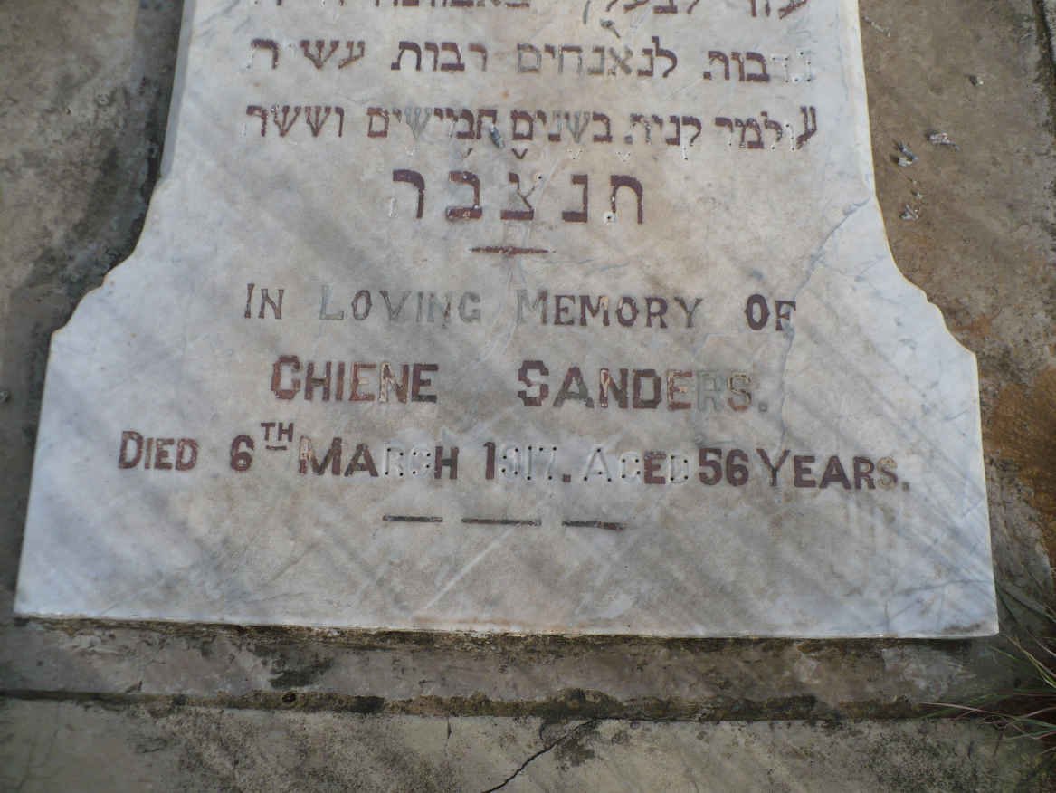 SANDERS Chiene -1917