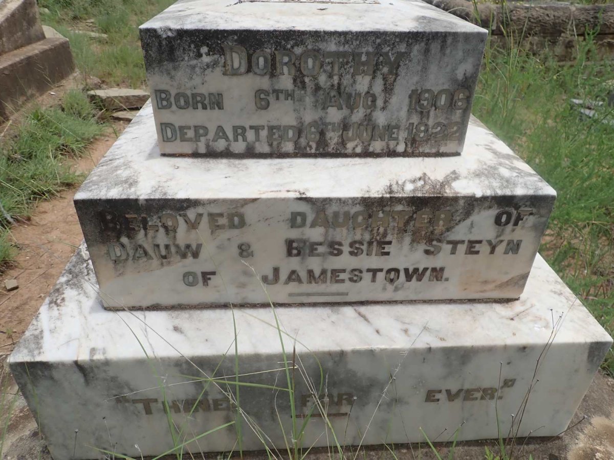 STEYN Dorothy 1906-1922