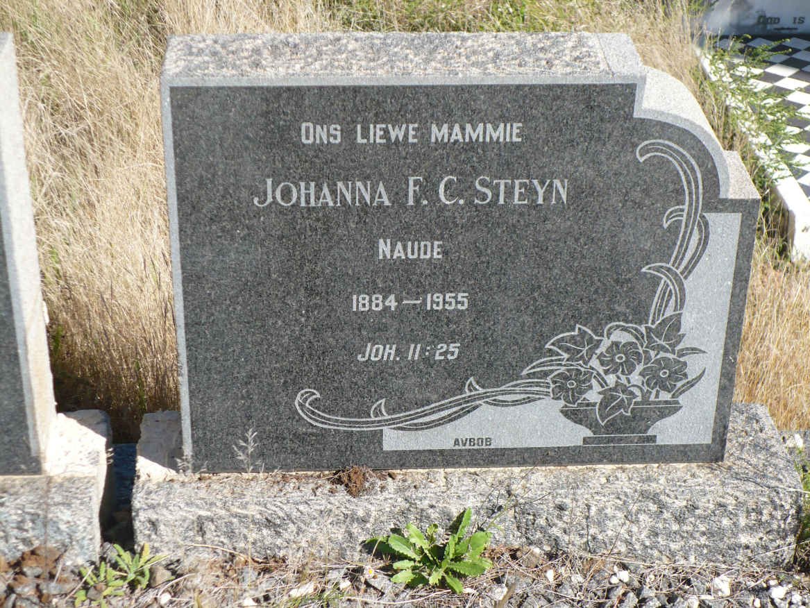 STEYN Hermanus H. 1876-1940 &amp; Johanna F.C. NAUDE 1884-1955