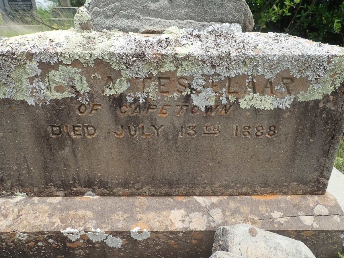 TESSELAAR N.J.A. -1888