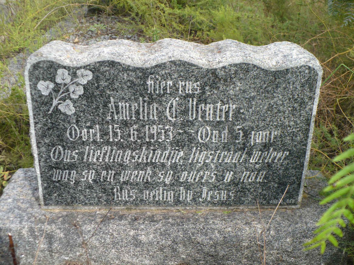 VENTER Amelia C. -1953