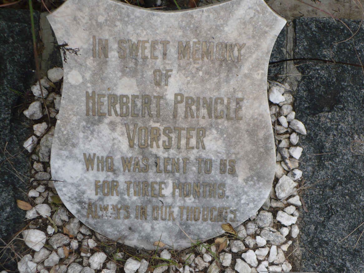 VORSTER Herbert Pringle