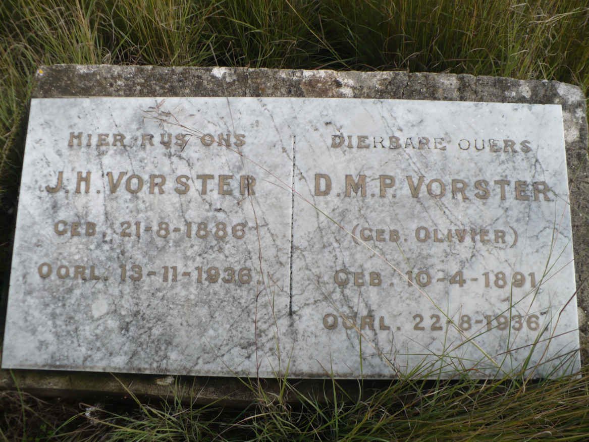 VORSTER J.H. 1886-1936 &amp; D.M.P. OLIVIER 1891-1936