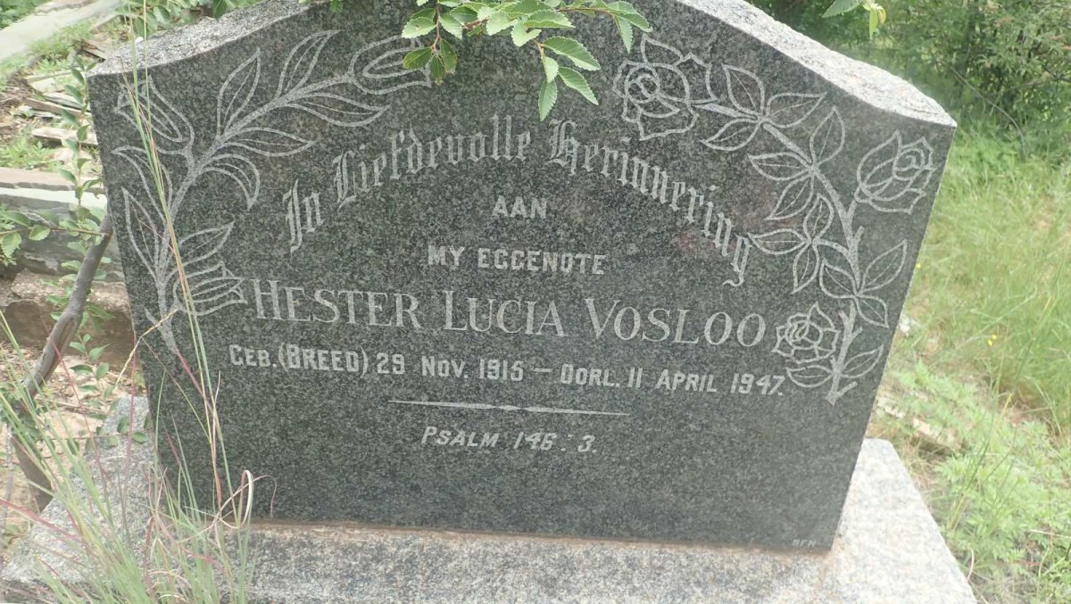 VOSLOO Hester Lucia nee BREED 1915-1947