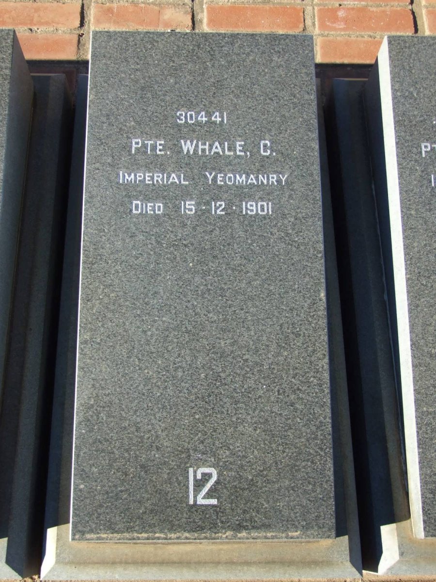 WHALE C. -1901