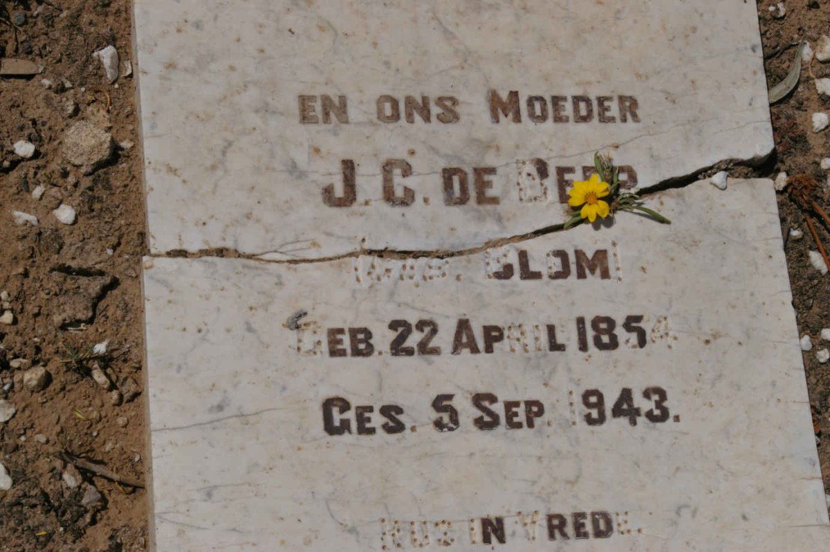 BEER J.C., de nee BLOM 1854-1943