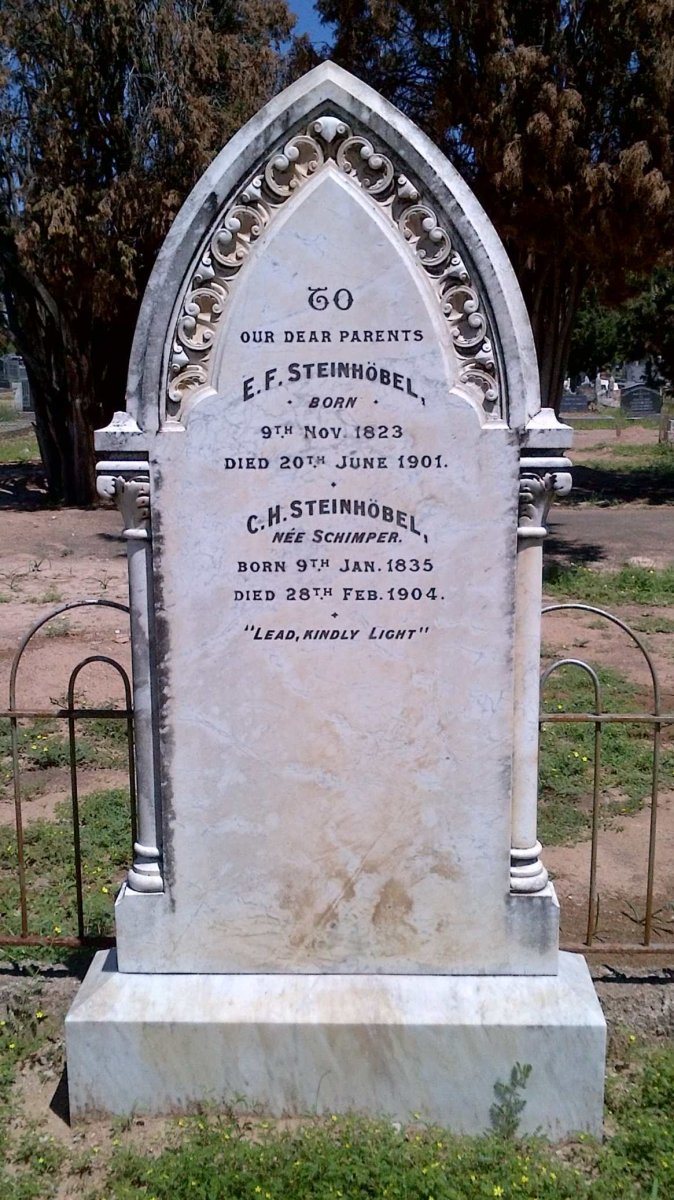 STEINHOBEL E.F. 1823-1901 &amp; C.H. SCHIMPER 1835-1904