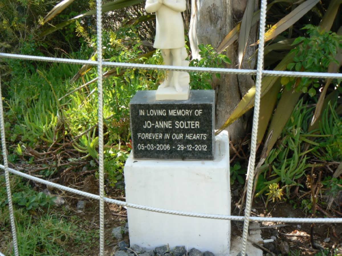 SOLTER Jo-Anne 2006-2012