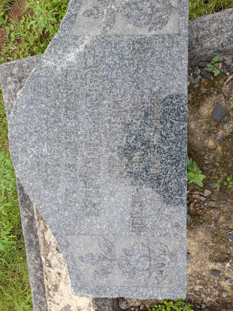LANGE Stephanus Jacobus, de 1891-1957