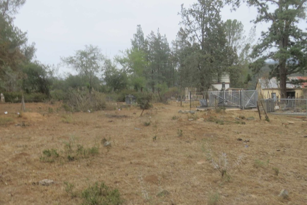 5. Overview