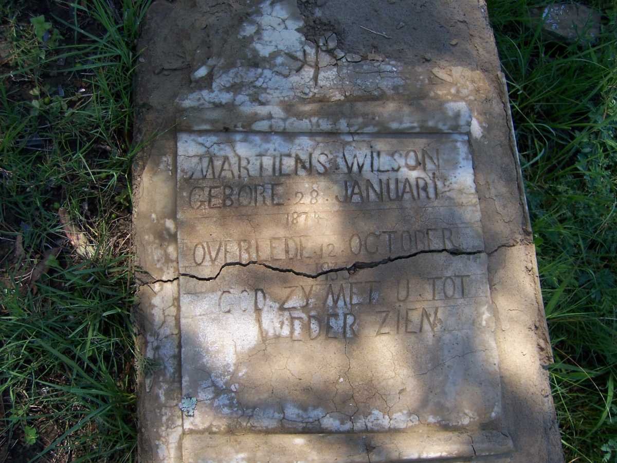 WILSON Martiens 1874-1933
