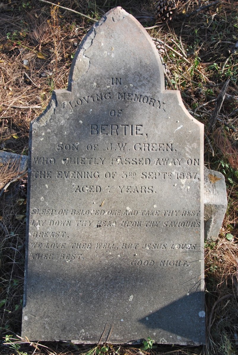 GREEN Bertie -1887
