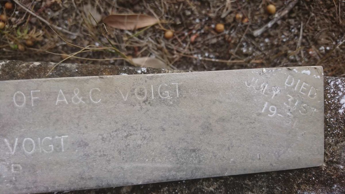 VOIGT Nevil 1930-1931