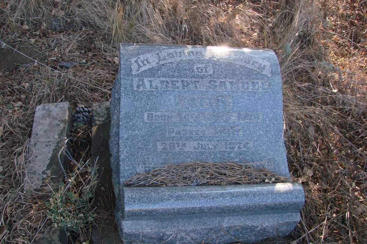 SAMDED Albert -1974