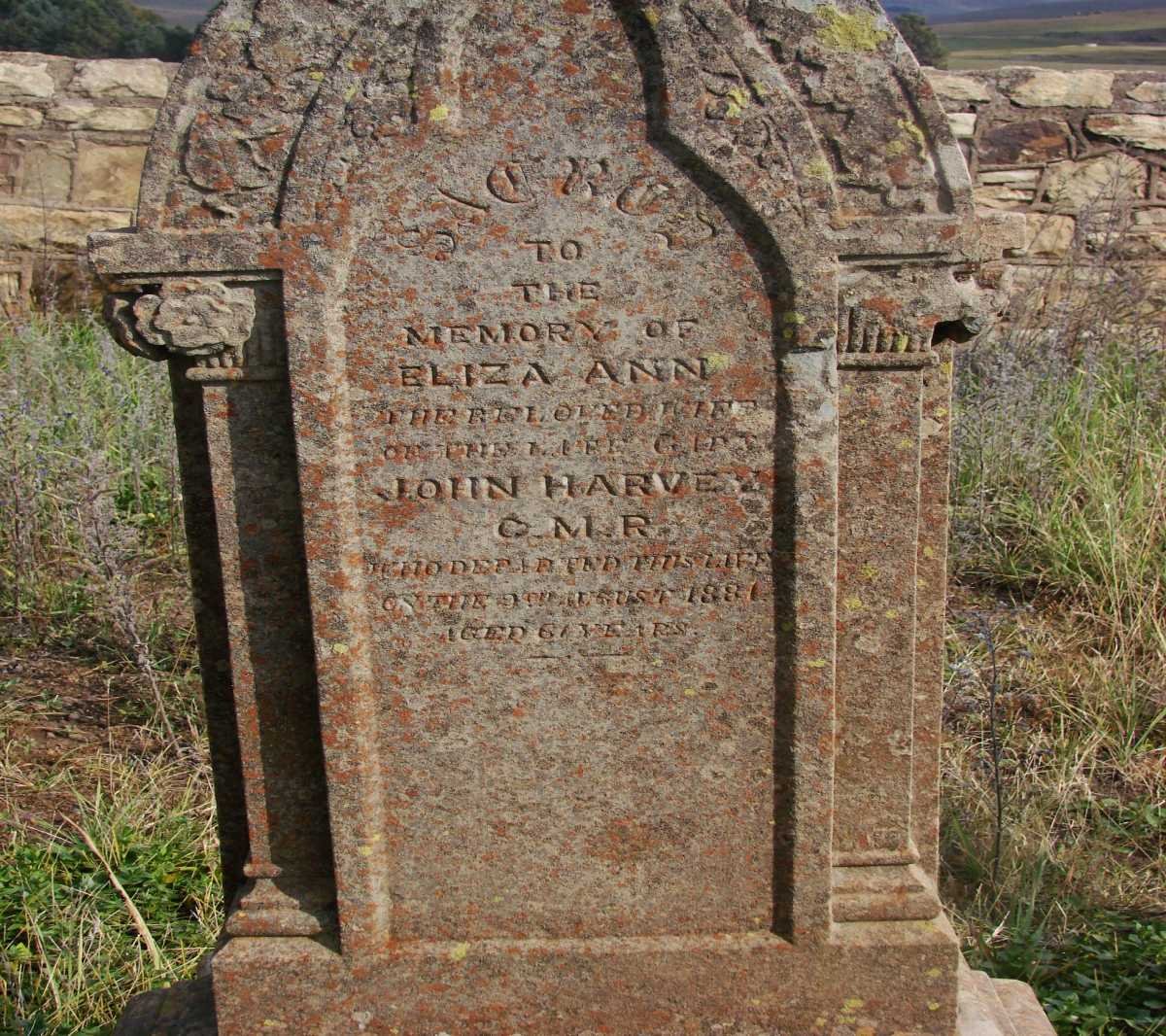 HARVEY Eliza Ann -1881